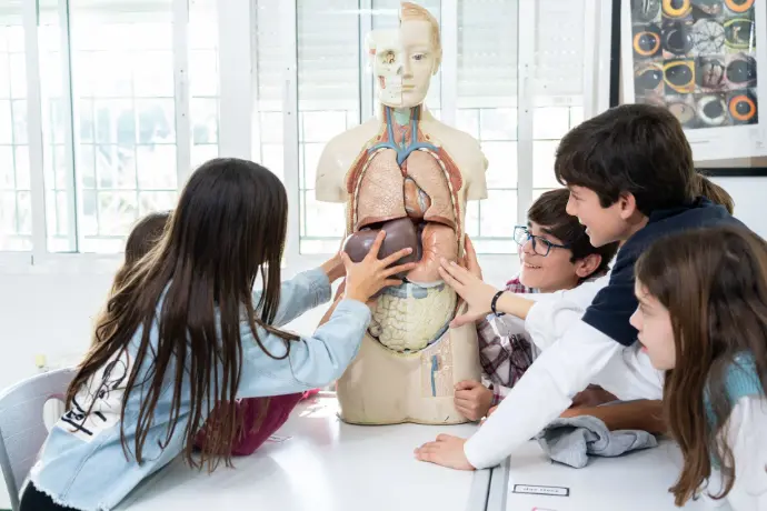 alumnos muñeco cuerpo humano