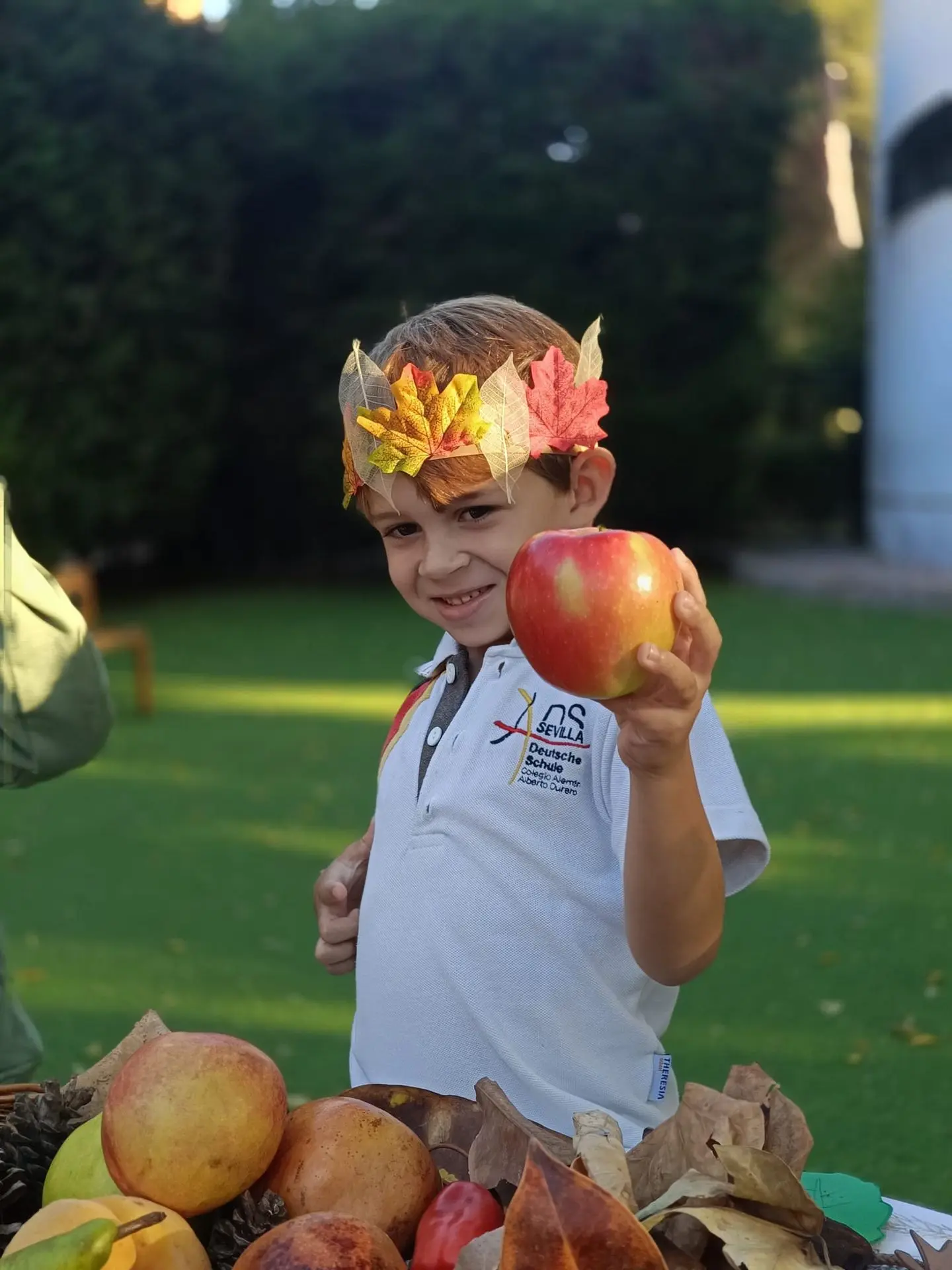 niño disfraz corona manzana